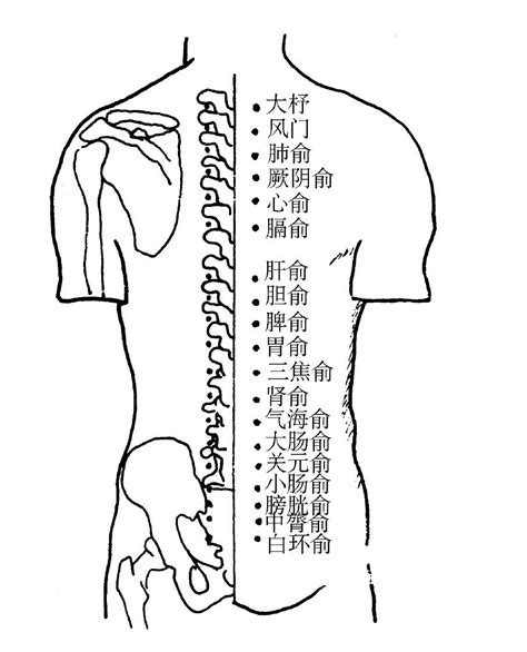 背穴|背俞